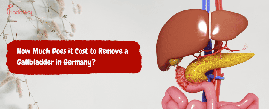 Gallbladder in Germany