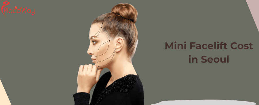 Mini Facelift Cost in Seoul