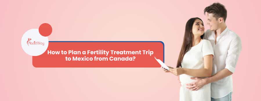 How to Plan a Fertility Treatment Trip to Mexico from Canada?