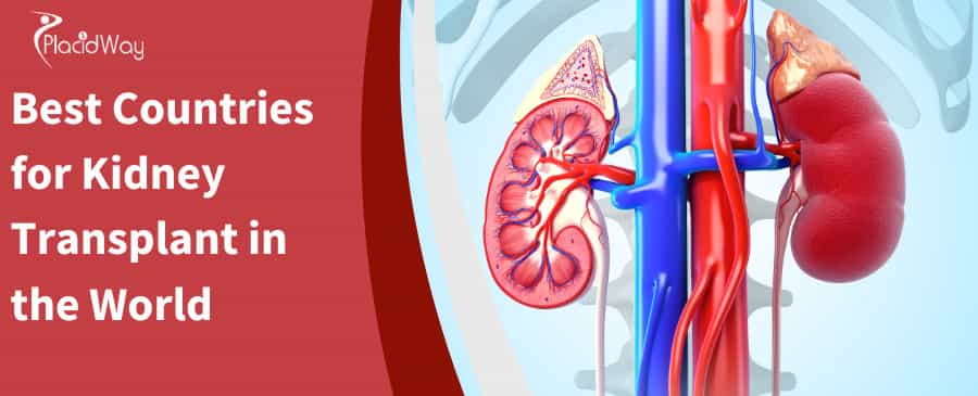 Best Countries for Kidney Transplant