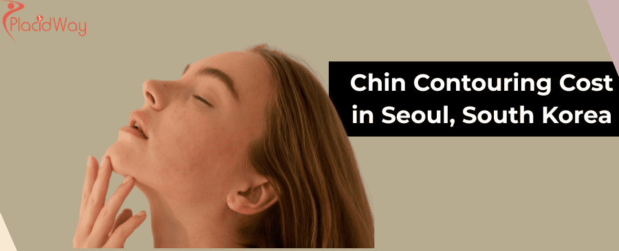 Chin Contouring Cost in Seoul, South Korea
