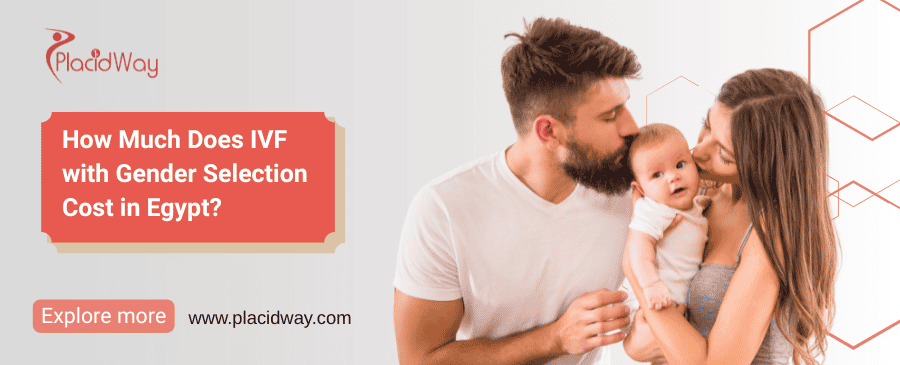 How Much Does IVF with Gender Selection Cost in Egypt