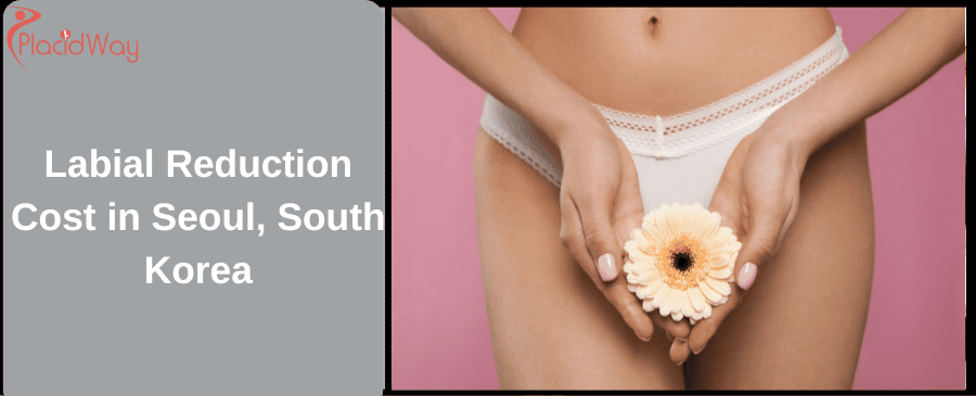 Labial Reduction Cost in Seoul, South Korea