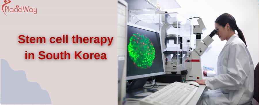Stem cell therapy in South korea