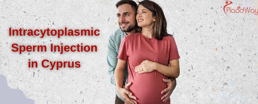 Intracytoplasmic Sperm Injection in Cyprus