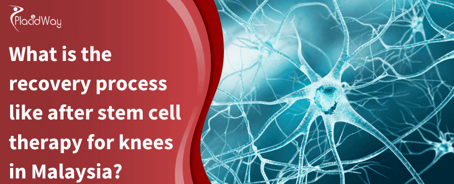 What is the recovery process like after stem cell therapy for knees in Malaysia