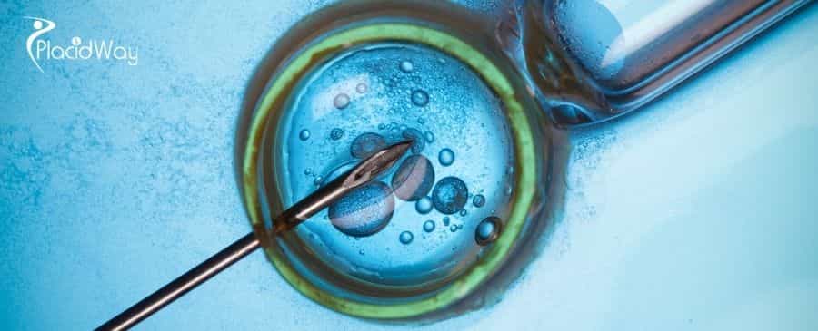 IVF with gender selection in Mexico