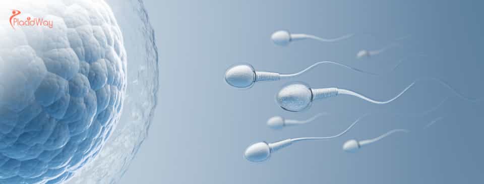 Egg Freezing in Thailand