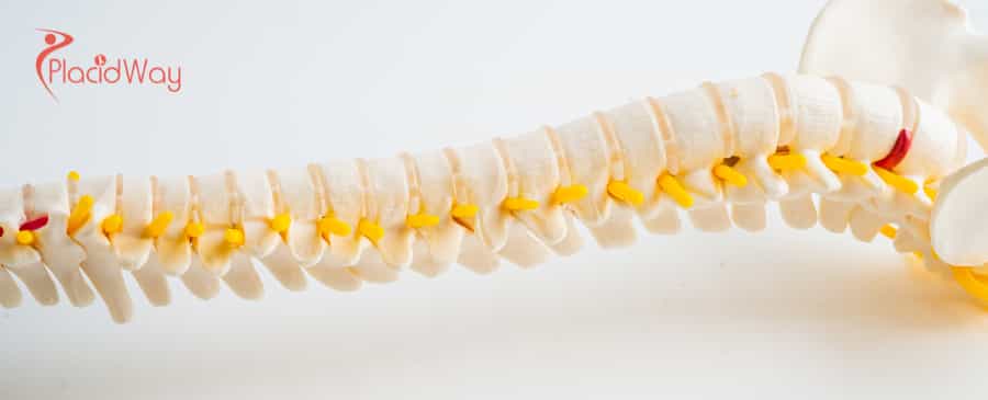 Stem Cell Therapy for Spinal Injuries in Thailand