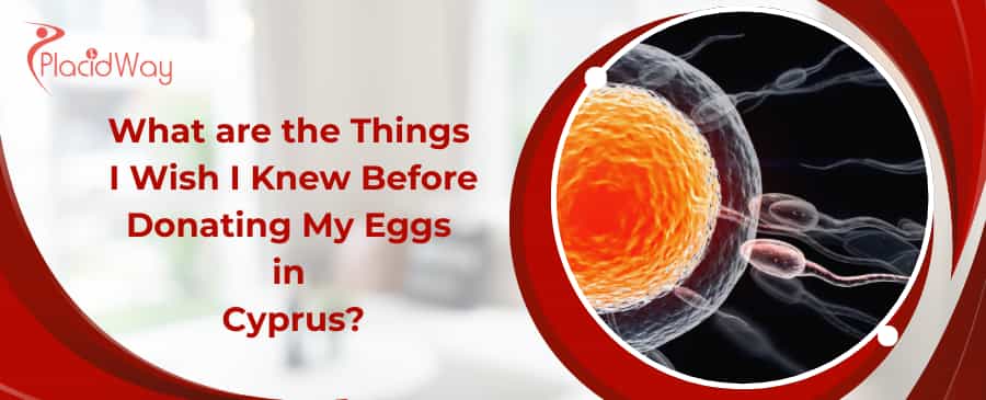 Eizellspende in Zypern