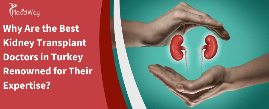 Why Are the Best Kidney Transplant Doctors in Turkey Renowned for Their Expertise?