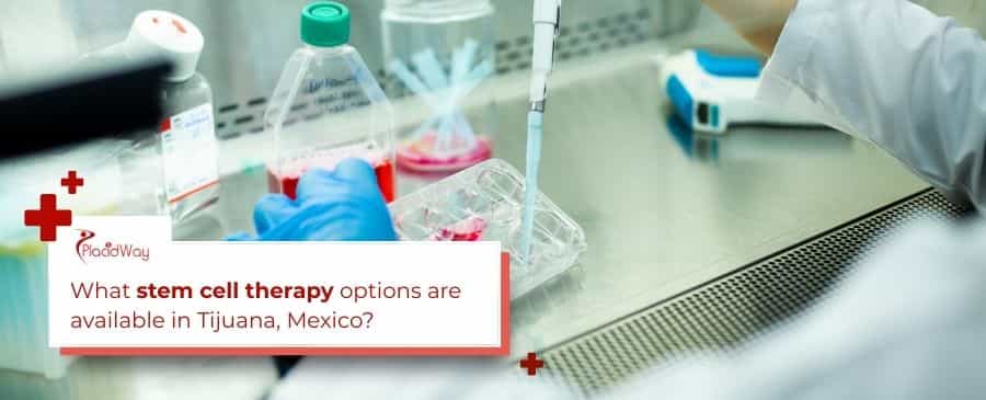Stem cell therapy