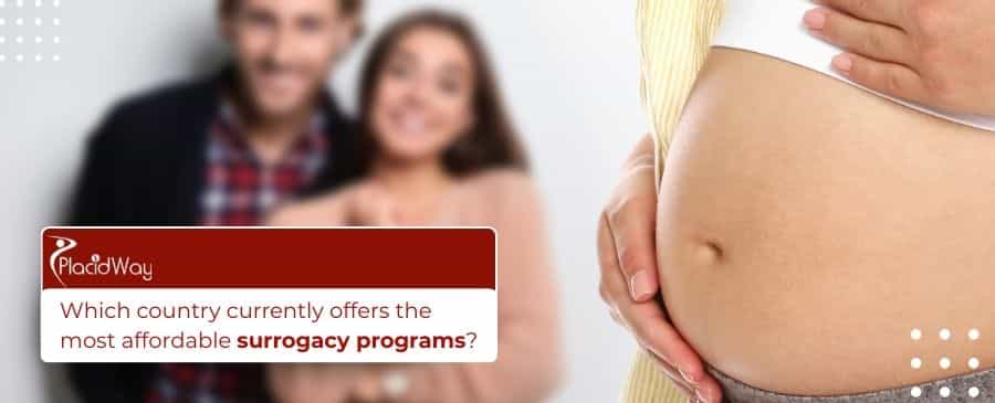 Affordable surrogacy programs