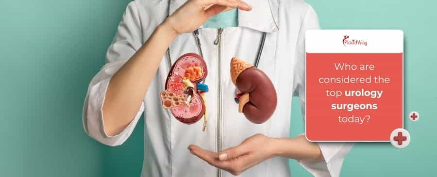 Urology surgeons