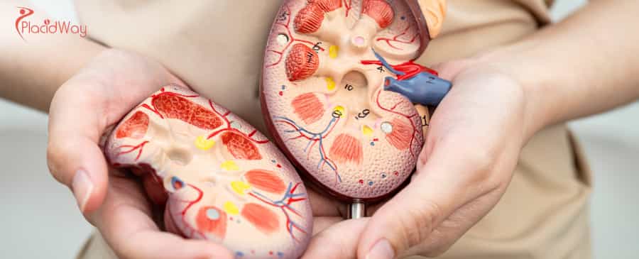 Affordable Urology Treatments in Colombia