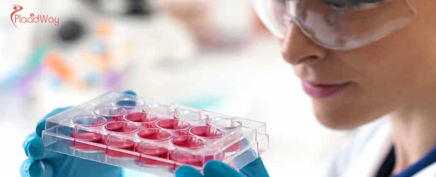 Bone Marrow Stem Cell Therapy in Turkey