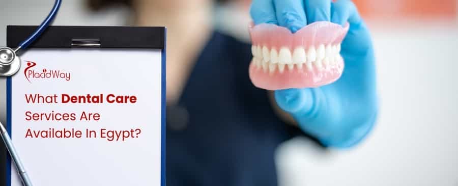 Dental Care Services