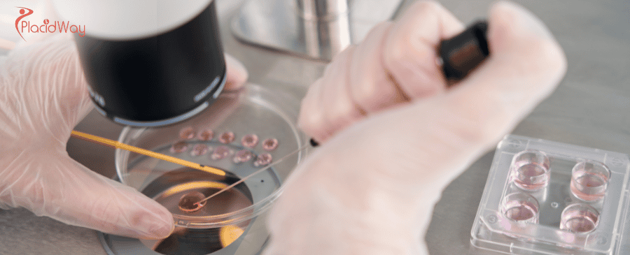 Embryonic Stem Cell Therapy in Turkey