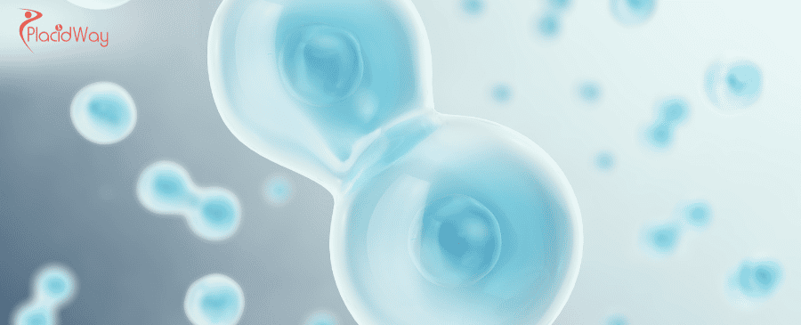 Embryonic Stem Cell Therapy in Turkey