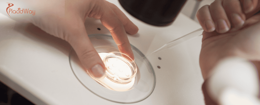 FIV con donación de óvulos en Chipre