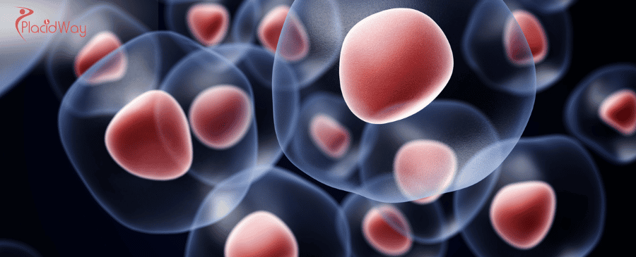 Stem Cell Longevity in Thailand