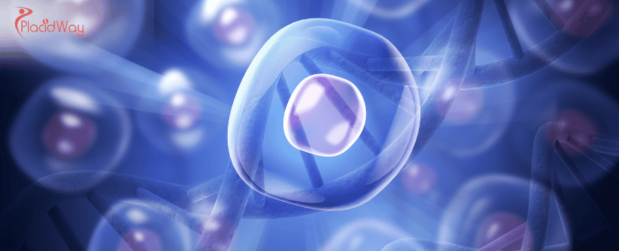 Egg Freezing in Cyprus