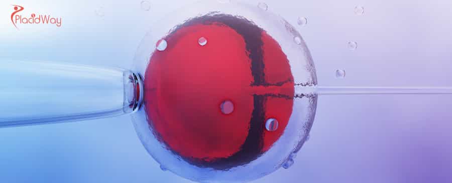 IVF with Egg Donors in India