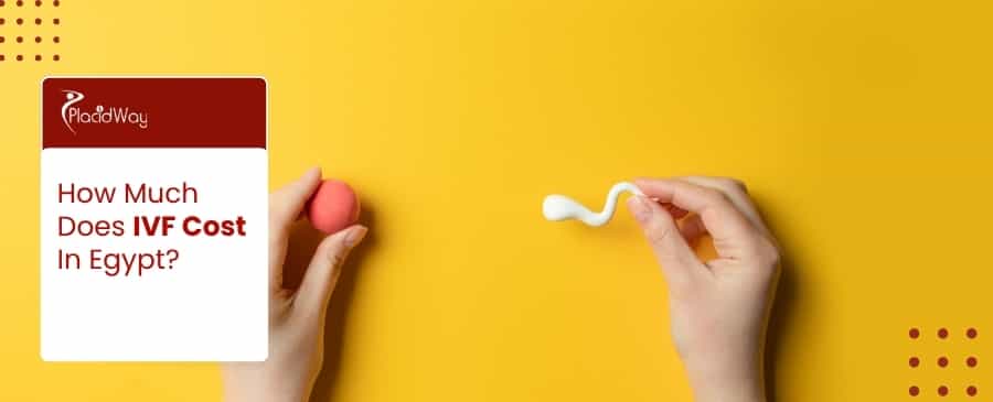 Ivf Cost In Egypt