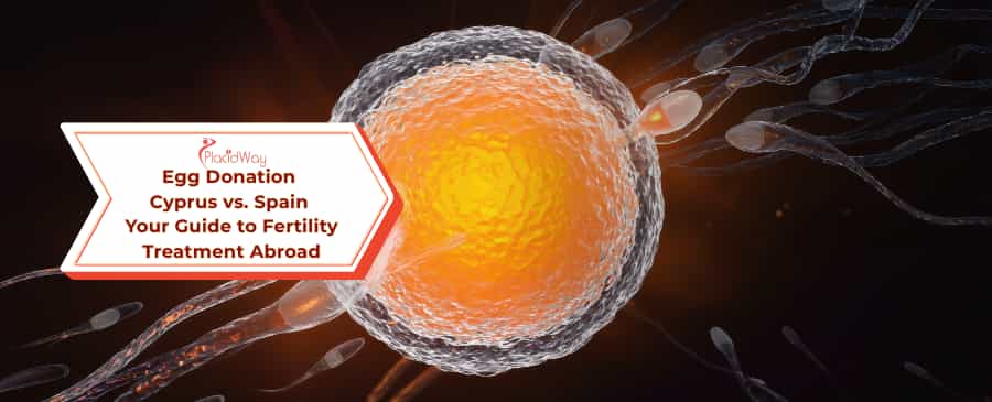 Egg Donation Cyprus vs. Spain
