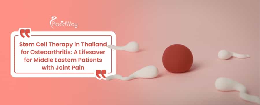 IVF with Egg Donation in Cyprus