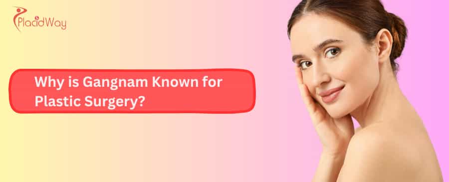 Gangnam known for Plastic Surgery