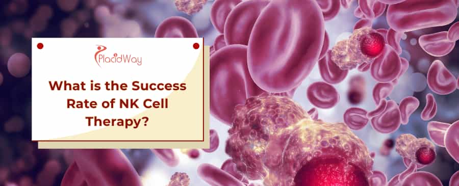 NK Cell Therapy