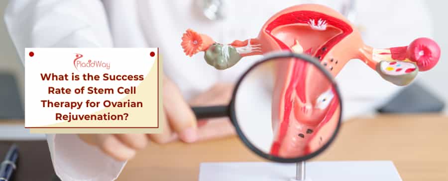 Stem Cell Therapy for Ovarian Rejuvenation