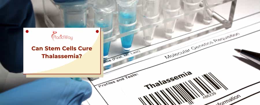 Stem Cells Cure Thalassemia
