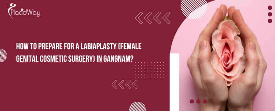Labiaplasty (Female Genital Cosmetic Surgery) in Gangnam