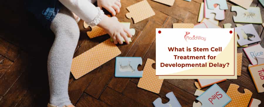 Stem Cell Treatment for Developmental Delay