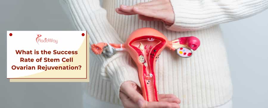 Stem Cell Ovarian Rejuvenation