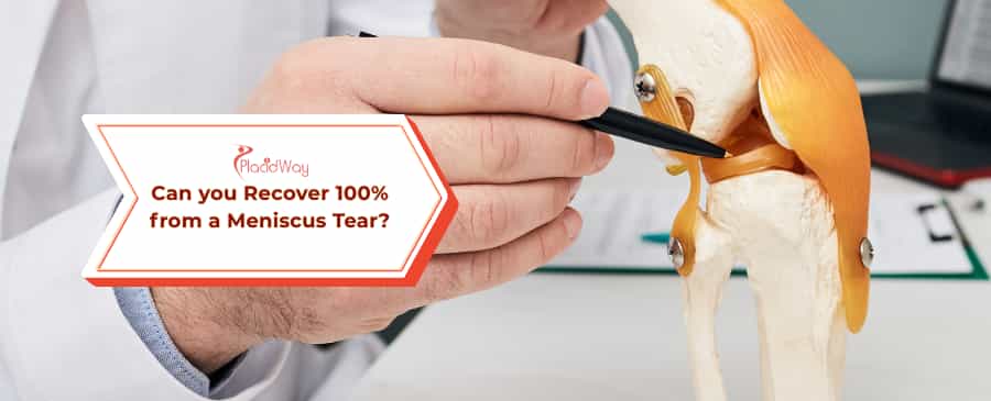 Meniscus Tear Recovery