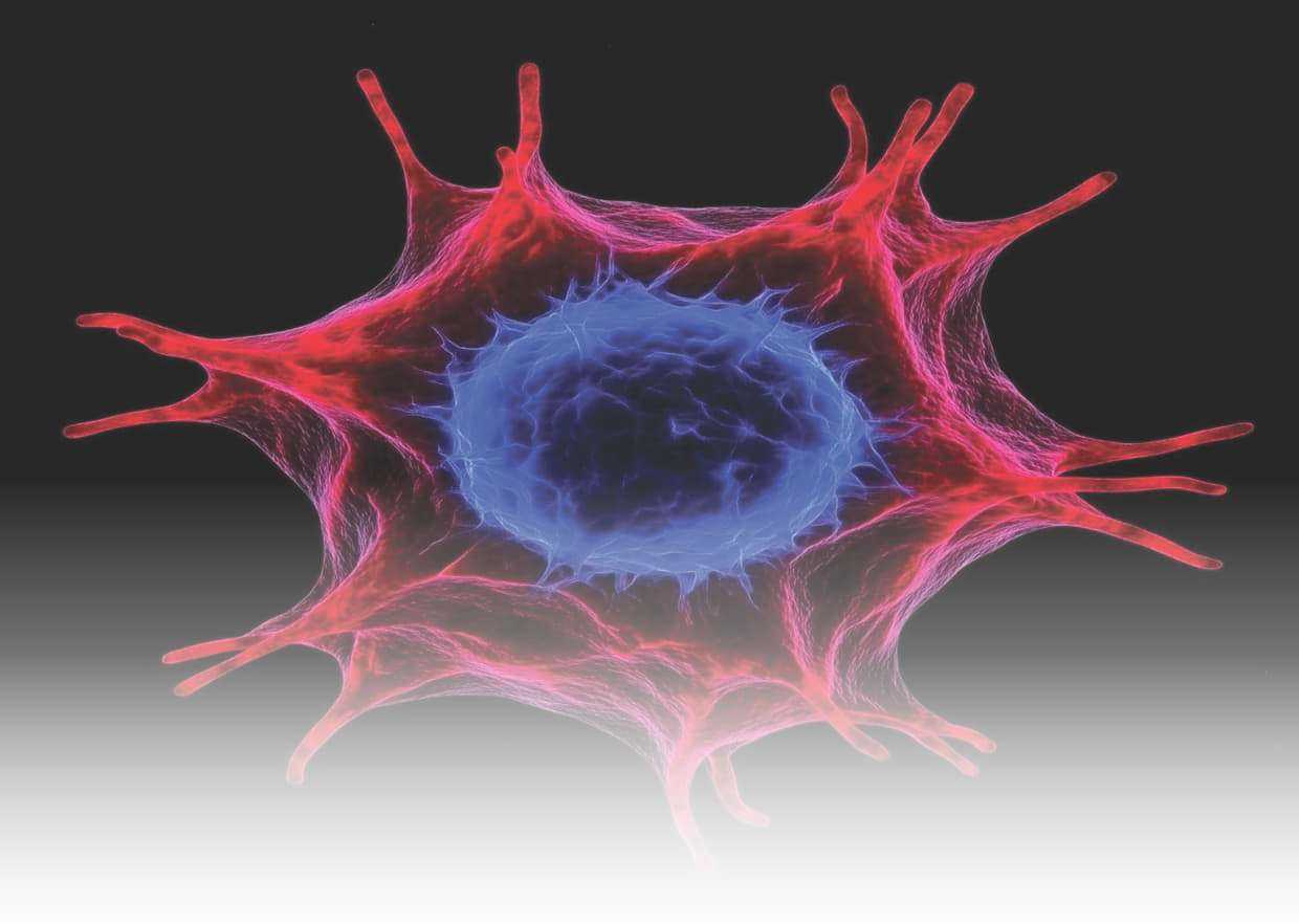 Mesenchymal Stem Cell Therapy Mexico