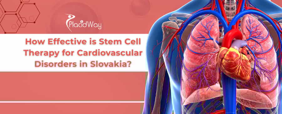 Stem Cell Therapy for Cardiovascular in Slovakia