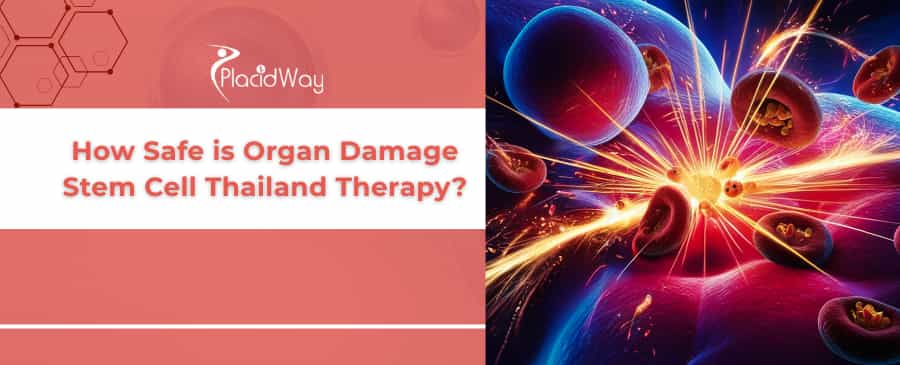 Thailand Stem Cell Therapy for Organs