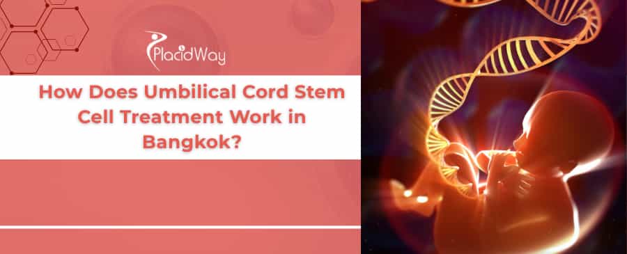 Umbilical Cord Stem Cell Therapy in Bangkok
