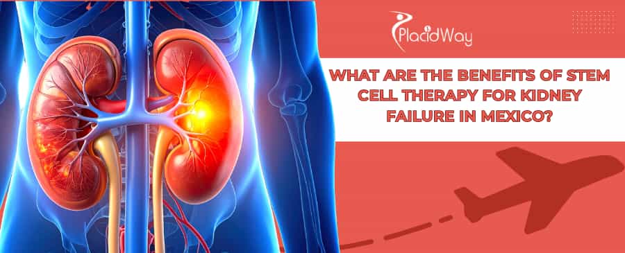 Stem Cell Therapy for Kidney Failure in Mexico