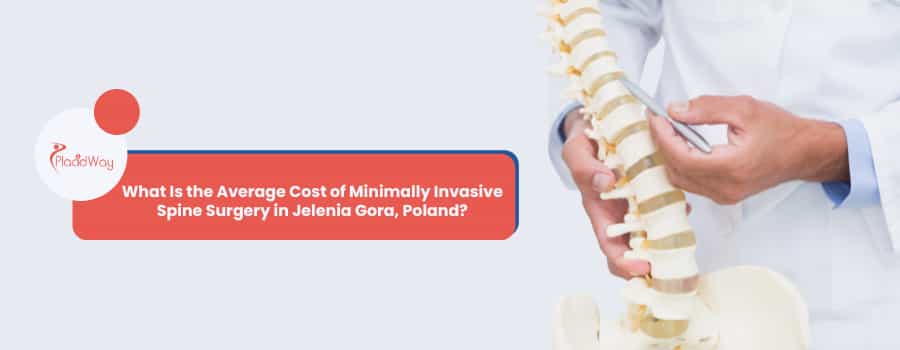 What Is the Average Cost of Minimally Invasive Spine Surgery in Jelenia Gora, Poland?