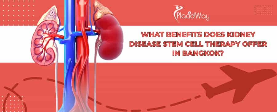 Kidney Disease Stem Cell Therapy in Bangkok