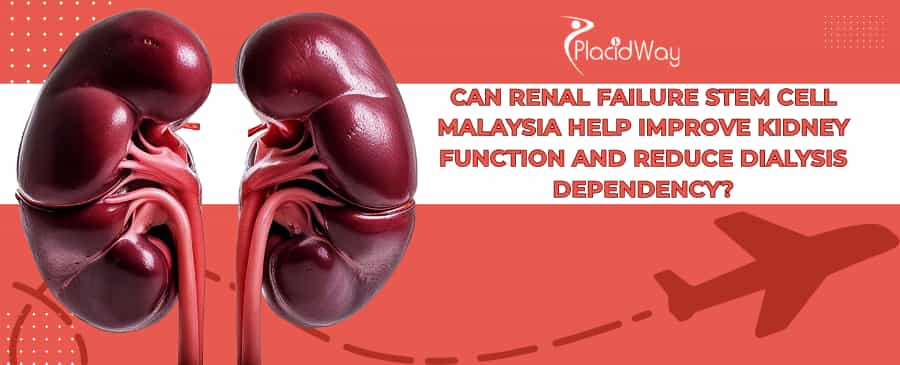 Renal Failure Stem Cell Therapy in Malaysia