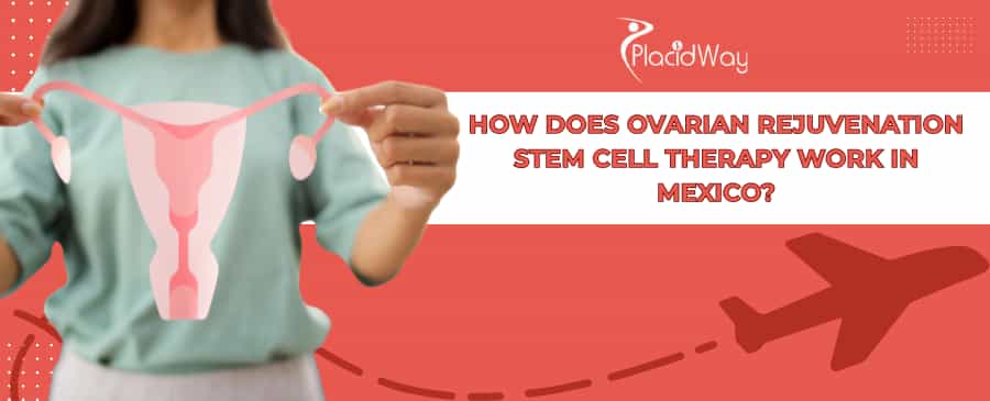 Ovarian Rejuvenation Stem Cell Therapy in Mexico