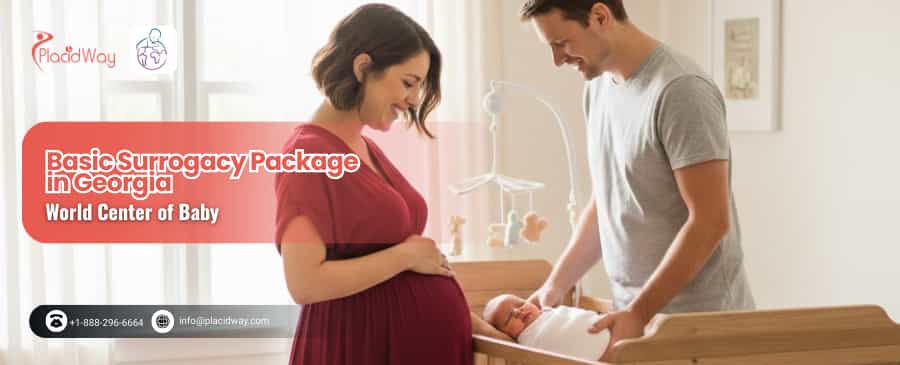 Basic Surrogacy Package in Georgia by World Center of Baby