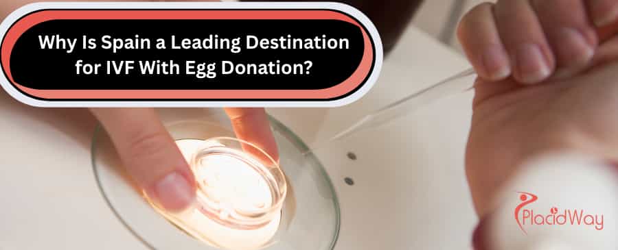 IVF Egg Donation in Spain