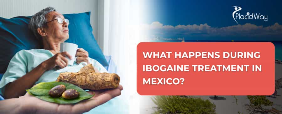 What happens during ibogaine treatment in Mexico?
